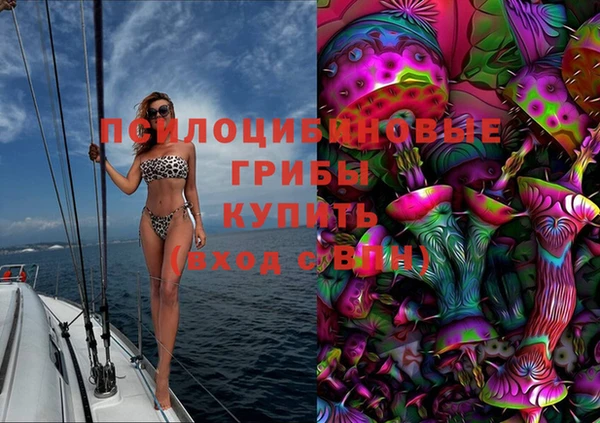 кокс Аркадак
