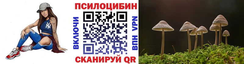 Псилоцибиновые грибы GOLDEN TEACHER  Маркс 